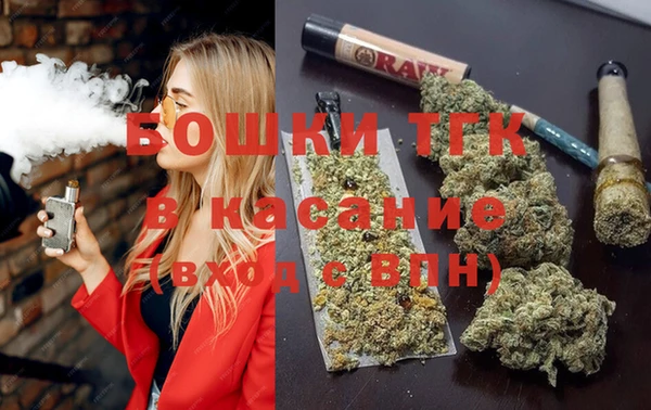 гидра Чегем