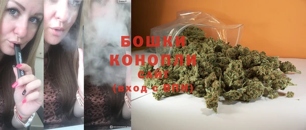 стафф Шали