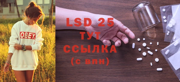 гидра Чегем